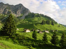 Green slope in Austrian Alps