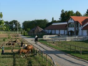 Horse breeding and training building with wooden pens and various horses