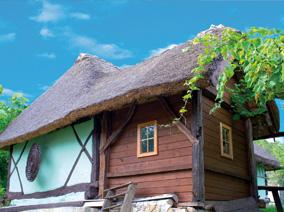 Traditional wooden house 