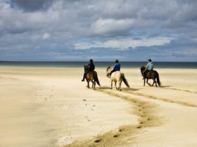 Three men riding horses on a beach