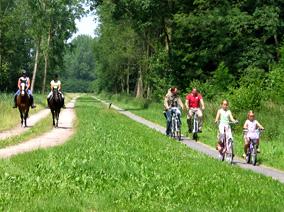 People on horseback and people on bikes on a forest road