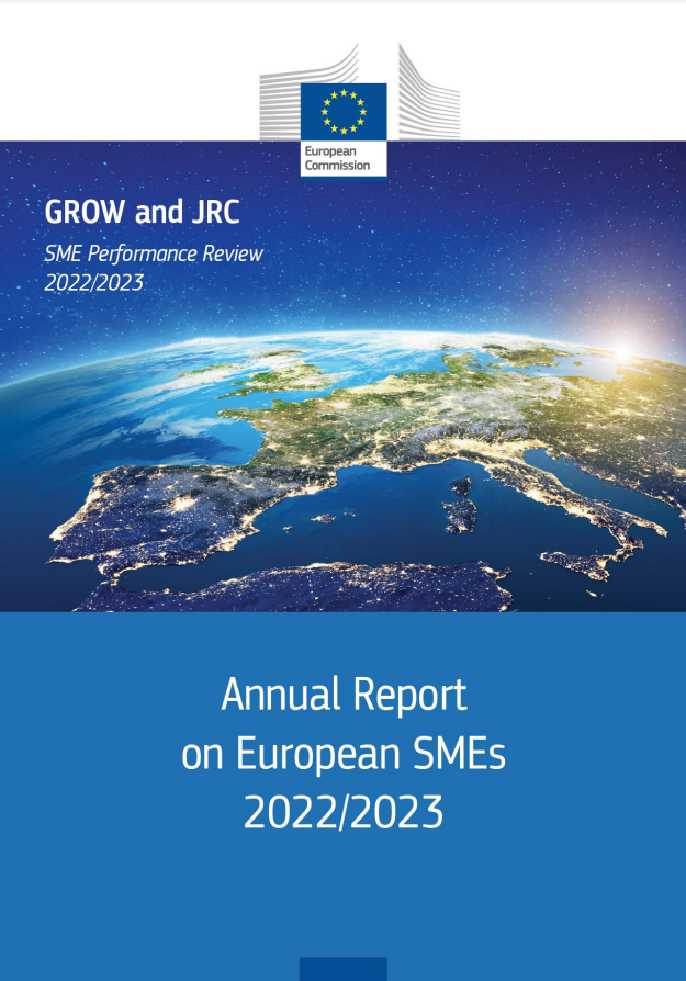 SME Performance Review annual report