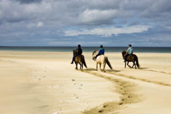 Three men riding horses on a beach