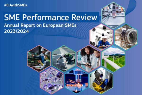 SME Performance Review 2023-2024 banner